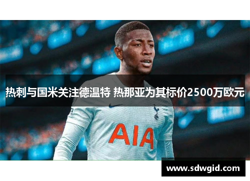 热刺与国米关注德温特 热那亚为其标价2500万欧元 热刺与国米关注德温特 热那亚为其标价2500万欧元