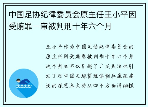 中国足协纪律委员会原主任王小平因受贿罪一审被判刑十年六个月 中国足协纪律委员会原主任王小平因受贿罪一审被判刑十年六个月